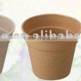 Degradable Flower Pot thumbnail-1