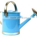 Garden Plants Flower Water 1 Gal. Metal Indoor Outdoor Basic Watering Can thumbnail-1