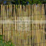 Reed Screen thumbnail-1