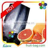 Fruit Growing Paper Bag for Grapefruit thumbnail-1