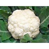 whole sale fresh cauliflower in China