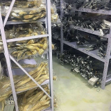 Qingdao Guangshengyuan Hair Product Co., Ltd. company overview - view 2 thumbnail