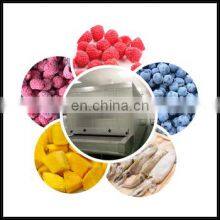 TCA Iqf Freezer Manufacturers Iqf Tunnel Freezer for Pizza thumbnail-5