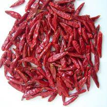Dried Hot Chaotian Chili Sanying Chili Stemless Tianjin Chili 8000 to 10000 SHUfree of Aflatoxin Chilli thumbnail-4