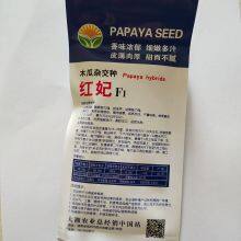 5 Grams/Bag Hybrid f1 Sweet Red Lady Papaya Seeds Papaya Pawpaw Seed for Planting thumbnail-2