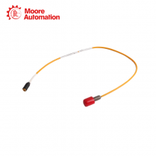 Bently Nevada 10030-05-30-05-02 thumbnail-3