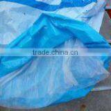 Australia Customer Visit Our Factory for pp Nonwoven Fabric Banana Bag thumbnail-2