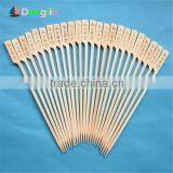 Gun Shape Meat Skewer With Different Size