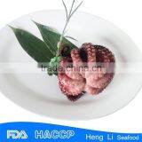 Fishing Octopus for Sale thumbnail-4