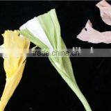 High Quality Color Paper Twine at Low Price thumbnail-2