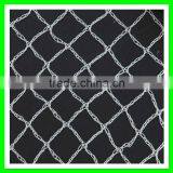 Plastic Vineyard Cover Bird Wire Mesh/fly Wire Netting thumbnail-3
