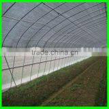 Leaf Minder Net , Anti Insect Net thumbnail-3