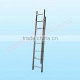 Extension Ladder thumbnail-1