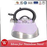 3L Color Coating Whistling Tea Kettle Stainless Steel Jug for Induction Cooker