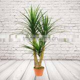 Potted Artificial Sword Leaves Plants, Fake Decorative Yucca thumbnail-6