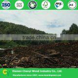 Solid Pine Wood Boards for Sale thumbnail-4