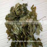 Health Tea Sweet Tea Extract Rubusoside Sweet Tea Leaf thumbnail-4