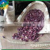 Chinese purple Speckled Kidney beans for sale