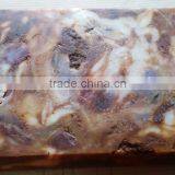 BQF Squid Viscera thumbnail-3