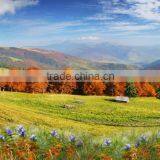 CS03 Customize Home Decoration Wall Hanging Oil Paintings Art For Sale thumbnail-1