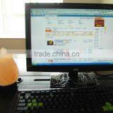 Usb Salt Lamps thumbnail-1