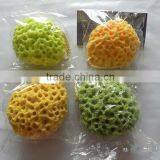 Foam Sponge