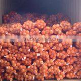 Low Price Fresh Yellow and Red Onion thumbnail-1