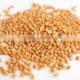 Fenugreek Seed Exporters thumbnail-6
