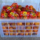 2013 Fresh Nanfeng honey Oranges from China