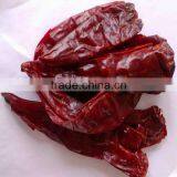 Sweet Pepper Types thumbnail-1