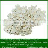 Dried Snow White Pumpkin Seeds in Bulk thumbnail-1