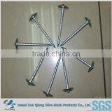 Q235 Hard Drawn Roofing Nails With Washer