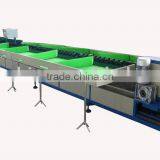 Fruit Grader(FGX-DZ)