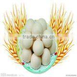 Hot Sale Stainless Steel Chinese Dough Divider Rounder Machine thumbnail-3