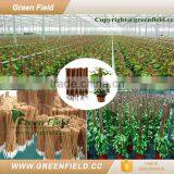 Eco-friendly Garden Pot Plant Support Stakes thumbnail-2