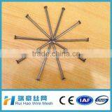 direct factory made iron nail prices common iron nail