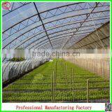 Plastic Film Commercial Greenhouses for Sale With Arched Type thumbnail-3