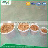 Tenebrio Molitor for Pet Bird thumbnail-5