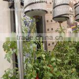 Hanging In The Air Pop Up Grow Bag For Tomato