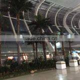 Artificial Tall Palm Tree for Airport Public Decoration thumbnail-3