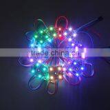 Building Decoration LED Module Full Colors 4 Pieces LED Light thumbnail-2
