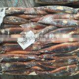 Frozen Illex Squid Whole Round thumbnail-2