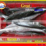 FROZEN W/R BARRACUDA FISH thumbnail-1