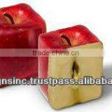 New Creative Website Design