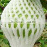 EPE Plastic Safe Biodegradable Fruit Foam Netting thumbnail-4