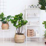 Seagrass Belly Storage Plant Basket thumbnail-1