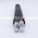 Manufacturer Customized YJLV2 Core 2*16 Square Millimeter PVC Insulated Power Cable Wire thumbnail-2