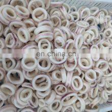 Good Quality Frozen Precooked Skin on Squid Ring thumbnail-3