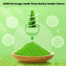 Barley Tender Leaf Powder thumbnail-2