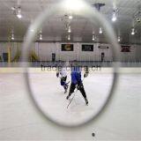 the Rinks Ice Skating/synthet Ice